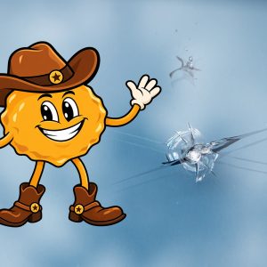 Windshield Chip Repair